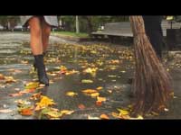 Телереклама "Носится, носится и носится", бренд: Вестфалика, агентство: Мелехов и Филюрин