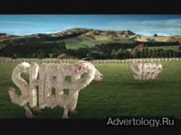  "Sportivo", : Toyota, : Publicis Mojo
