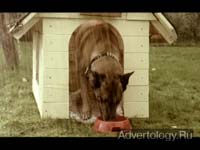  "Revenge of the Puppy", : Norwegian Association of the Blind, : Try Reklamebyrå