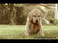  "Revenge of the Puppy", : Norwegian Association of the Blind, : Try Reklamebyrå