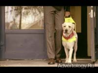  "Revenge of the Puppy", : Norwegian Association of the Blind, : Try Reklamebyrå