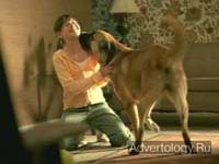 ����������� "Gargle", �����: Kibbles `n Bits, ���������: Dailey & Associates