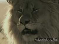 ����������� "����", �����: Steak Grilled Taquitos, ���������: DraftFCB