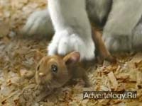  "Mouse Click", : Blockbuster, : Doner Advertising