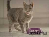  "  ", : Whiskas, : TBWA Toronto