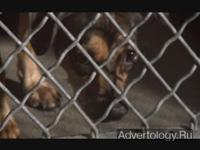  " ", : Pedigree, : TBWA/Chiat/Day Los Angeles