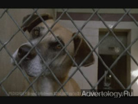  " ", : Pedigree, : TBWA/Chiat/Day Los Angeles