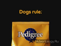  " ", : Pedigree, : TBWA/Chiat/Day Los Angeles