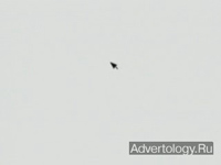 ����������� "�������", �����: WWF, ���������: Contrapunto BBDO