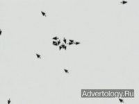 ����������� "�������", �����: WWF, ���������: Contrapunto BBDO