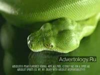  "Snake", : Absolut, : TBWA/Chiat/Day New York
