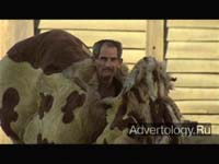 ����������� "HorseMax", �����: Carmax, ���������: BooneOakley