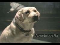  "Whassup! Come Home", : Budweiser, : Downtown Partners