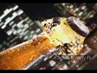 ����������� "�����", �����: ������ �������, ���������: ������ ����