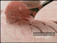  "", : , : DDB Russia
