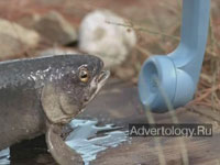 ����������� "Trout", �����: Labatt Blue Light, ���������: McCann Erickson New York