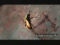  "Beetle", : Renault, : Publicis Lado-C