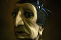   "Madam" 
: DDB Madrid 
: Friskies-Nido Bird Food 
Cannes Lions, 2007
Silver Lion Campaign (for Miscellaneous)