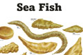   "Sea Fish" 
: Saatchi & Saatchi London 
: Carlsberg Breweries 
: Carlsberg 