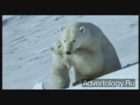 Молочное лакомство - c любовью от MILK | Креатив | Advertology.Ru