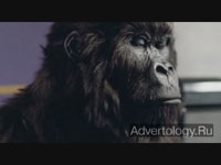  "Gorilla", : Cadbury, : Fallon London Ltd.
