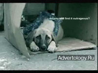  "Dog", : BGD, : Markom Leo Burnett