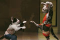   "Karate Catfight" 
: DDB London 
: Harvey Nichols 
: Harvey Nichols 