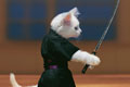   "Samurai Catfight" 
: DDB London 
: Harvey Nichols 
: Harvey Nichols 