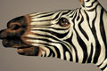   "Zebra" 
: Saatchi & Saatchi Simko 
: WWF 
: WWF 