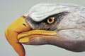   "Eagle" 
: Saatchi & Saatchi Simko 
: WWF 
: WWF 