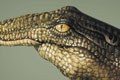   "Crocodile" 
: Saatchi & Saatchi Simko 
: WWF 
: WWF 