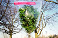   "Tree" 
: Publicis Frankfurt GmbH 
: Rubin 
: Rubin Freshness Bags 