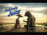  "Naturally Juicy", : Orangina, : FredFaridLambert