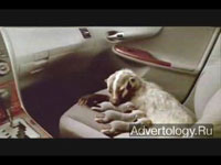  "Badgers", : Toyota, : Saatchi & Saatchi Los Angeles