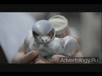  "Carrier Pigeons", : FedEx, : BBDO New York