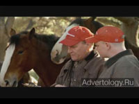 Телереклама "Clydesdale Team", бренд: Budweiser, агентство: DDB Chicago