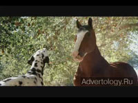 Телереклама "Clydesdale Team", бренд: Budweiser, агентство: DDB Chicago