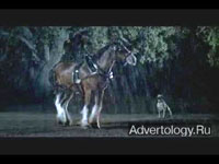 Телереклама "Clydesdale Team", бренд: Budweiser, агентство: DDB Chicago