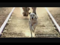 Телереклама "Clydesdale Team", бренд: Budweiser, агентство: DDB Chicago