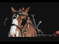 Телереклама "Clydesdale Team", бренд: Budweiser, агентство: DDB Chicago