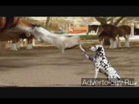Телереклама "Clydesdale Team", бренд: Budweiser, агентство: DDB Chicago