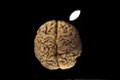   "Crea.Tiff Brain" 
:  (Red Apple) 
  Red Apple 2008, 2008
-