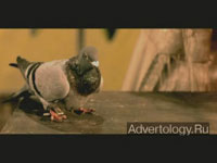 Телереклама "Pigeon", бренд: Nextel, агентство: La Negra United