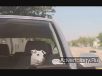  "Dog", : Volkswagen, : DDB London