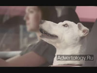  "Dog", : Volkswagen, : DDB London