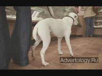  "Dog", : Volkswagen, : DDB London