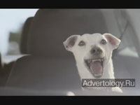  "Dog", : Volkswagen, : DDB London