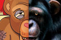   "Ape" 
: Longplay 
: National Forum for the Defense and Protection of Animals 
: NFDPA 