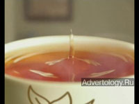  "Alokozay-Tea", : Alokozay-Tea, : Aviator