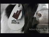  "Carrot-1", : Effie Awards Ukraine, : B.I.T.A. Advertising